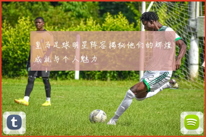 皇马足球明星阵容揭秘他们的辉煌成就与个人魅力