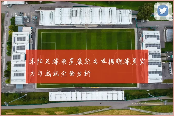 沭阳足球明星最新名单揭晓球员实力与成就全面分析