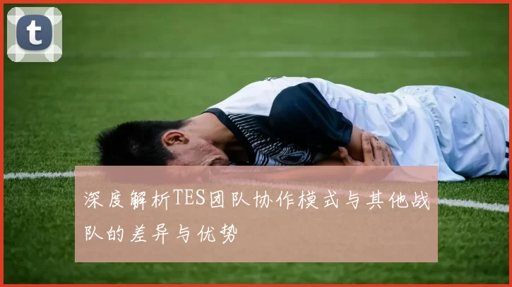 深度解析TES团队协作模式与其他战队的差异与优势