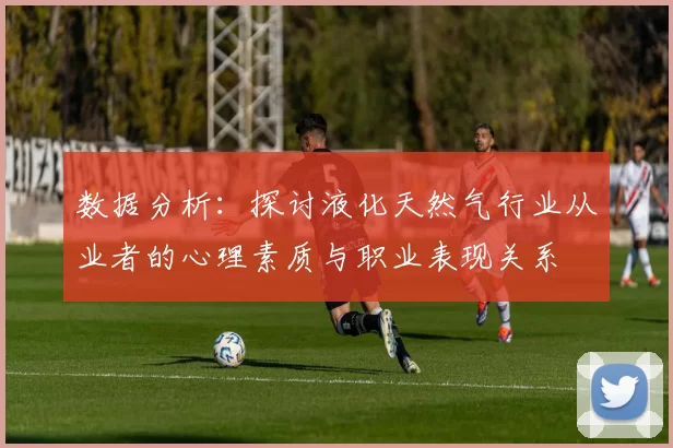 数据分析：探讨液化天然气行业从业者的心理素质与职业表现关系
