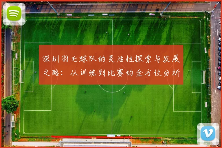 深圳羽毛球队的灵活性探索与发展之路：从训练到比赛的全方位分析