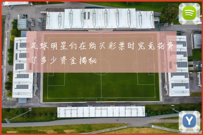 足球明星们在购买彩票时究竟花费了多少资金揭秘