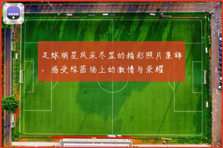 足球明星风采尽显的精彩照片集锦，感受绿茵场上的激情与荣耀