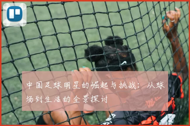 中国足球明星的崛起与挑战：从球场到生活的全景探讨