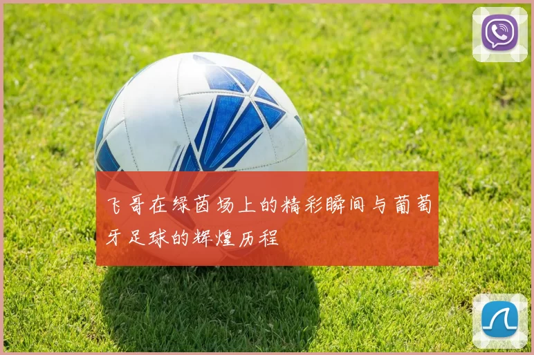 飞哥在绿茵场上的精彩瞬间与葡萄牙足球的辉煌历程