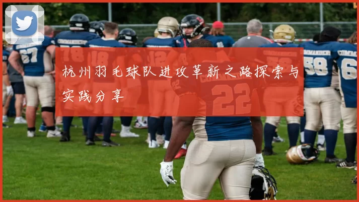 杭州羽毛球队进攻革新之路探索与实践分享