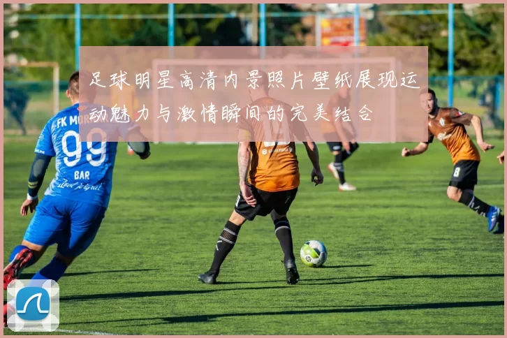 足球明星高清内景照片壁纸展现运动魅力与激情瞬间的完美结合