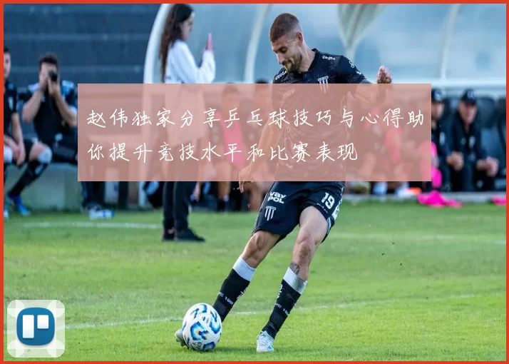 赵伟独家分享乒乓球技巧与心得助你提升竞技水平和比赛表现