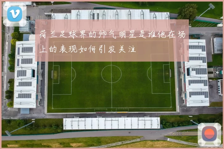 荷兰足球界的帅气明星是谁他在场上的表现如何引发关注