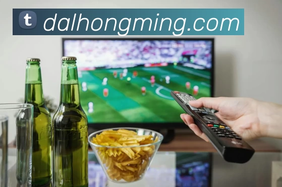 华体网页版在线登录平台生态图