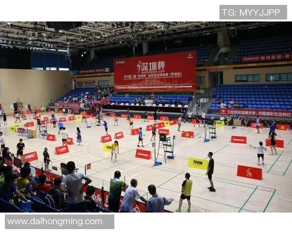 深圳羽毛球队在杯赛中的技术表现分析与总结