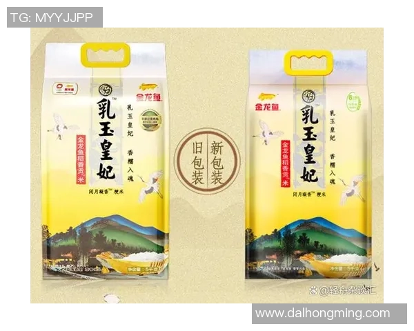 大米的营养价值与全球饮食文化影响分析及其未来发展趋势探讨