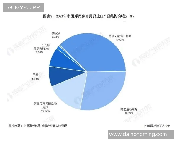 南京排球队技术分析与发展探讨聚焦排球竞技新趋势